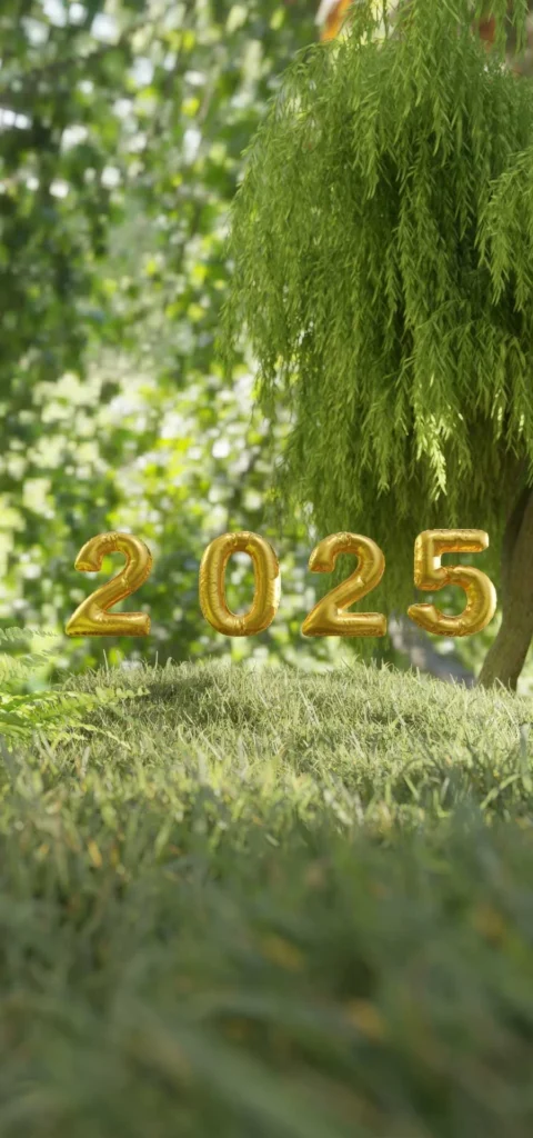 Review dell'Anno 2 Review dell'Anno testo 2025 in mezzo alla natura